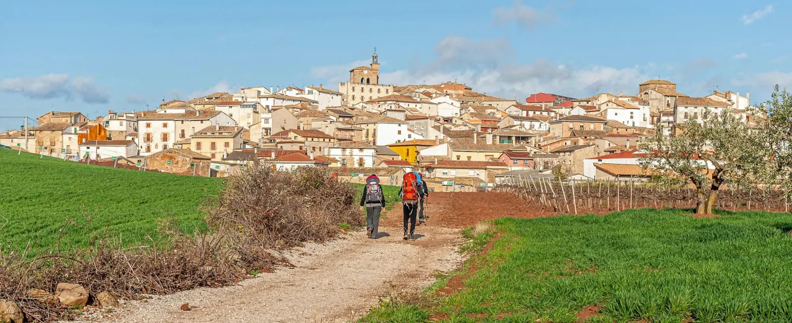 Cómo obtener tu licencia turística en Galicia